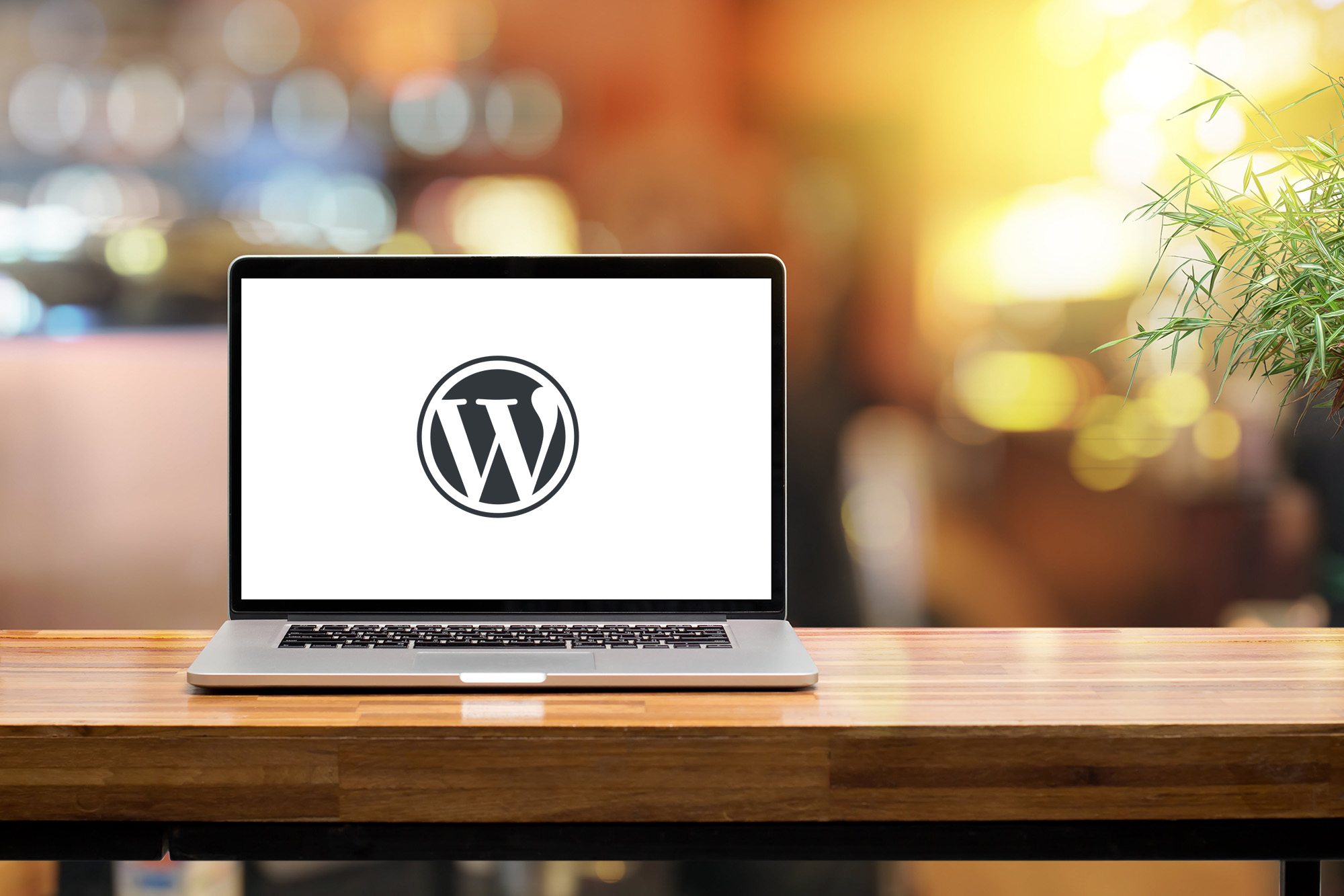 Why WordPress is a Perfect Fit for Nonprofit Websites